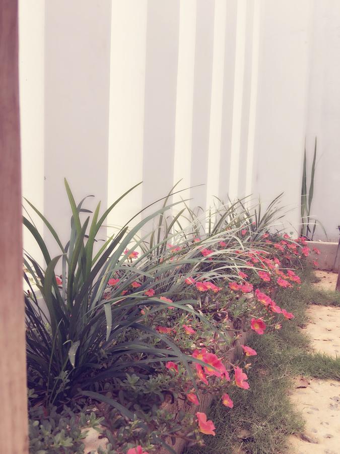 Hani House Pleiku Exterior photo
